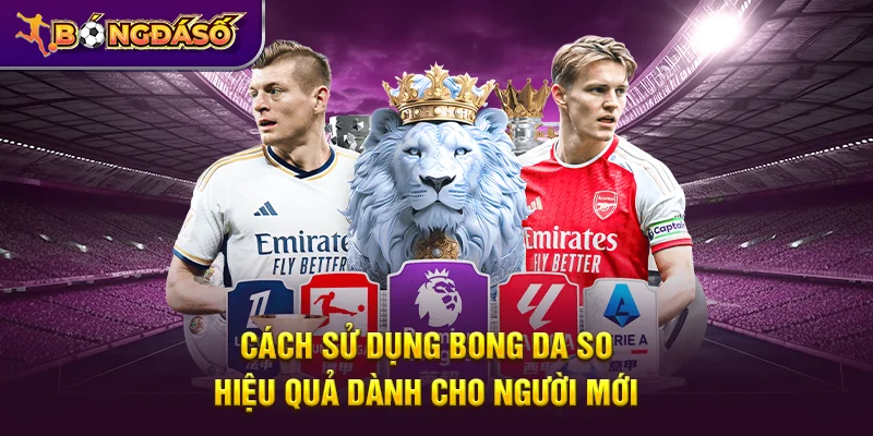 Bongdaso - Tỷ Số Bóng Đá, KQBD, Lịch Thi Đấu & Dữ Liệu Trận Đấu 24/7 18 Cách sử dụng Bongdaso hiệu quả dành cho người mới