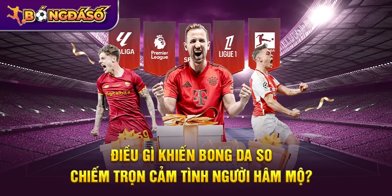 Bongdaso - Tỷ Số Bóng Đá, KQBD, Lịch Thi Đấu & Dữ Liệu Trận Đấu 24/7 16 Điều gì khiến Bongdaso chiếm trọn cảm tình người hâm mộ?